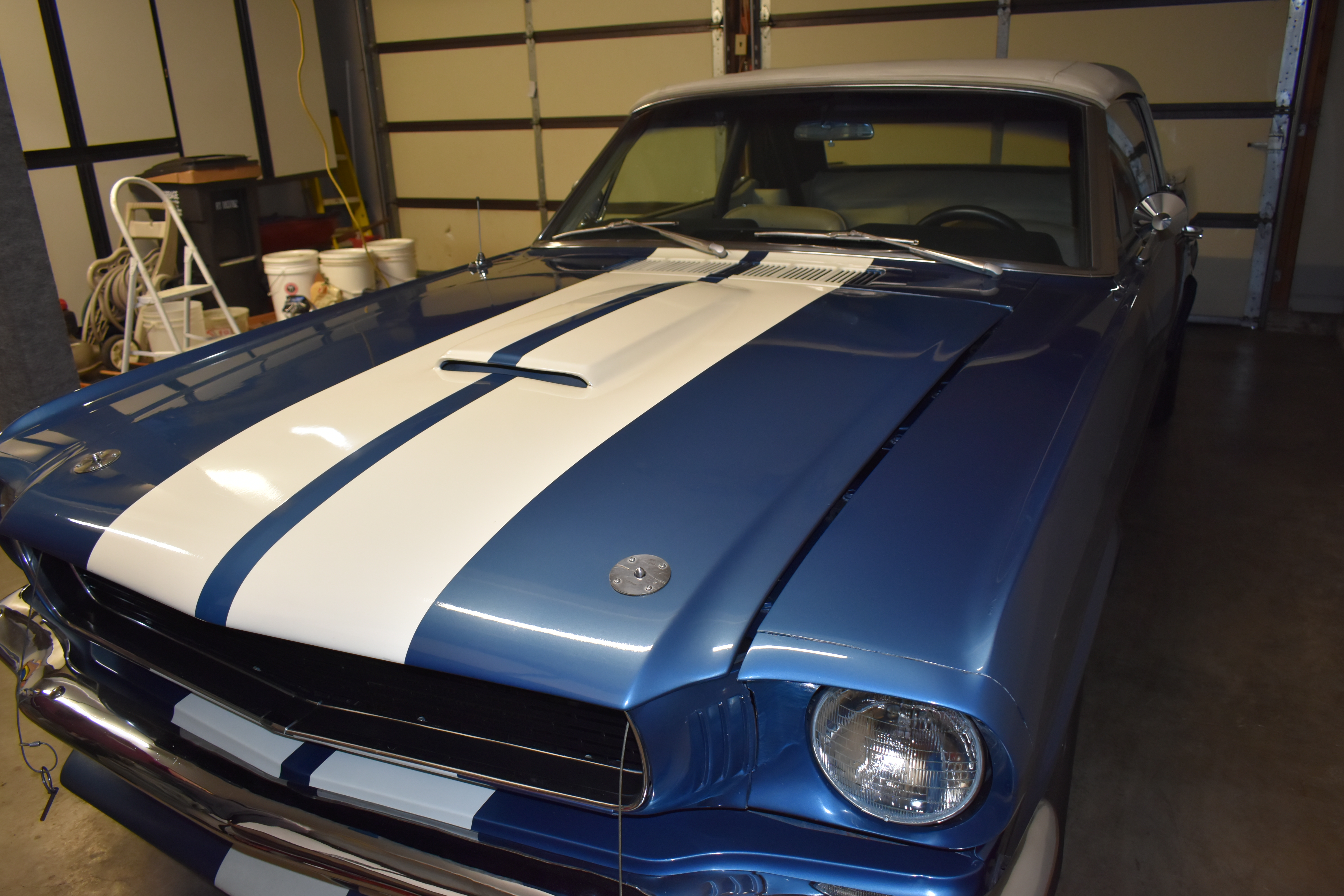 1966 Shelby GT350 CV 